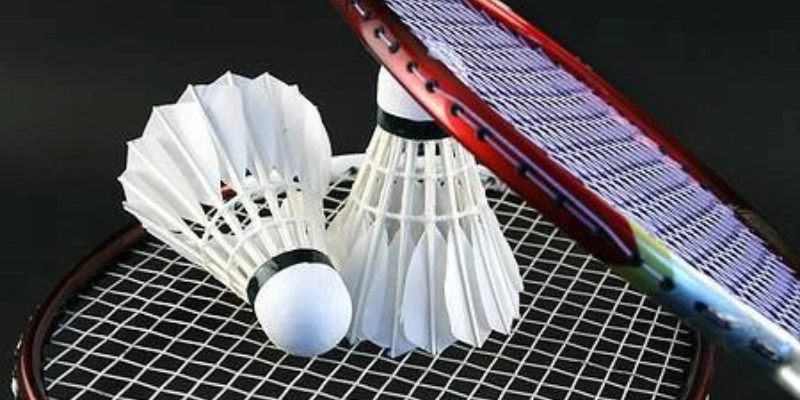 Cách Kiểm Tra Chất Lượng Quả Cầu Lông: Cập Nhật Chuẩn Quốc Tế Mới Nhất 2026 - Tixon