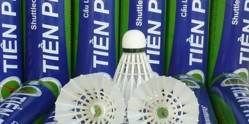 Giá Quả Cầu Lông Trên Thị Trường Hiện Nay: Cập Nhật Mới Nhất 2026 - Tixon