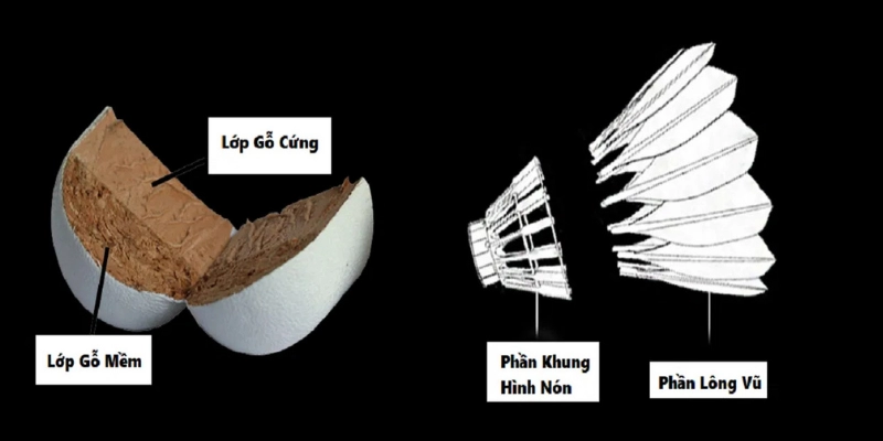 Lịch Sử Phát Triển Của Quả Cầu Lông: Hành Trình Từ Quá Khứ Đến Hiện Đại - Tixon