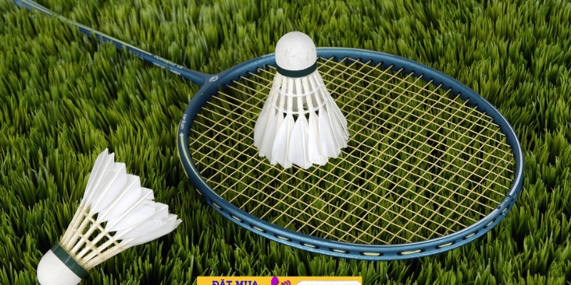 ProKennex King: Đánh Giá Chi Tiết Vợt Cầu Lông Đỉnh Cao Năm 2026 - Tixon