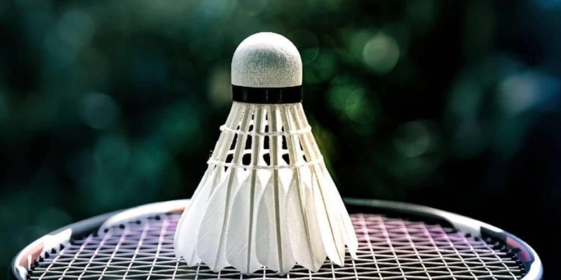 Nên Chọn Quả Cầu Lông Lông Vịt Hay Lông Ngỗng? Chuyên Gia ToniBadminton Phân Tích - Tixon