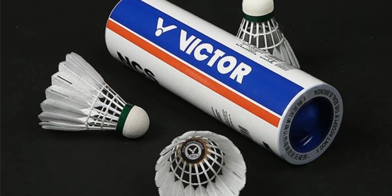 Quy Định Về Quả Cầu Lông Trong Thi Đấu Quốc Tế: Tiêu Chuẩn, Cách Chọn Và Ứng Dụng Thực Tế - Tixon