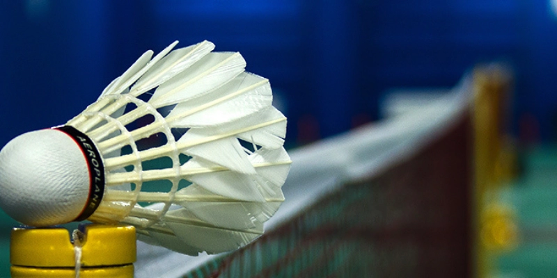 Review Quả Cầu Lông Yonex Aerosensa: Đánh Giá Thực Tế, So Sánh Và Kinh Nghiệm Chọn Mua - Tixon