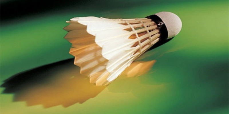 So Sánh Quả Cầu Lông RSL Và Lining: Đâu Là Lựa Chọn Tối Ưu Cho Bạn? - YiliBadminton - Tixon
