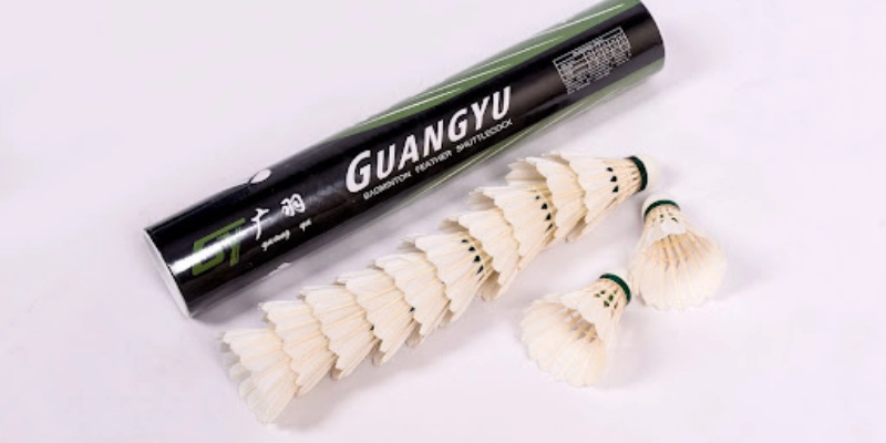 Tiêu Chuẩn Quốc Tế Của Quả Cầu LôngV: Toàn Bộ Quy Định, Cách Nhận Biết Và Lựa Chọn Tốt Nhất - Tixon