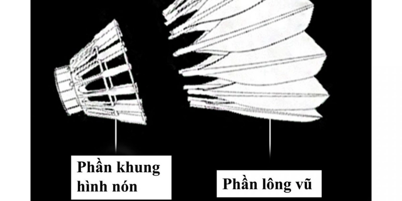 Trọng Lượng Quả Cầu Lông Theo Quy Định: Cập Nhật, Phân Tích Và Hướng Dẫn Chuẩn 2026 - Tixon