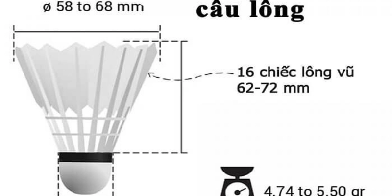 Trọng Lượng Quả Cầu Lông Theo Quy Định: Cập Nhật, Phân Tích Và Hướng Dẫn Chuẩn 2026 - Tixon