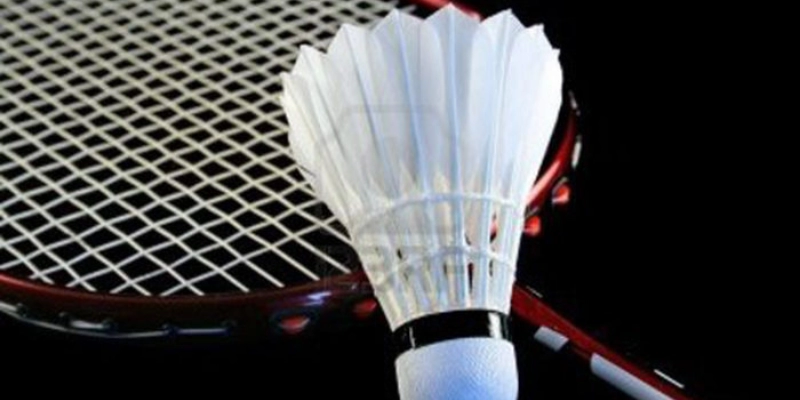 Liên Đoàn Cầu Lông Thế Giới (BWF): Toàn Tập Về Tổ Chức Quyền Lực Nhất - Tixon