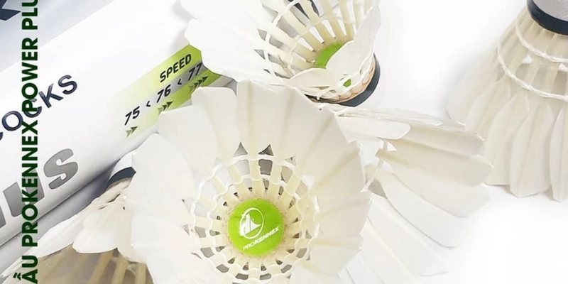 Cầu Lông ProKennex 808: Lựa Chọn Đỉnh Cao Cho Người Chơi - Tixon