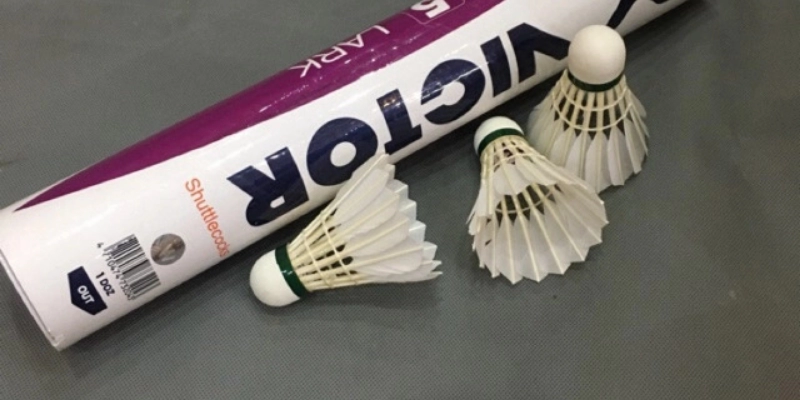 Cầu Lông Victor Queen: Đỉnh Cao Phong Cách Và Hiệu Năng Cho Phái Đẹp - Tixon
