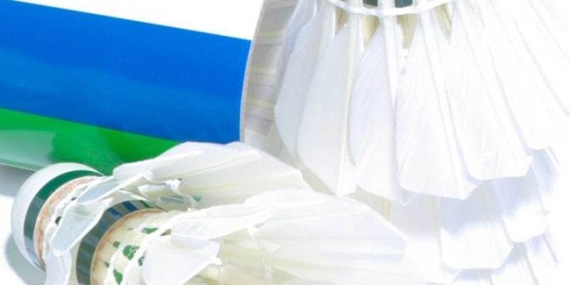 Chất Kiệu Cầu RSL: Tất Tần Tật Từ A-Z – Cùng YiliBadminton - Tixon