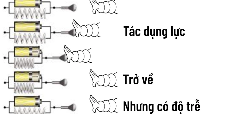 Độ Đàn Hồi: Hiểu Đúng, Ứng Dụng Trong Cầu Lông Và Cuộc Sống - Tixon