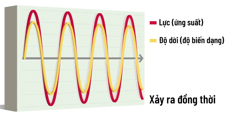 Độ Đàn Hồi: Hiểu Đúng, Ứng Dụng Trong Cầu Lông Và Cuộc Sống - Tixon