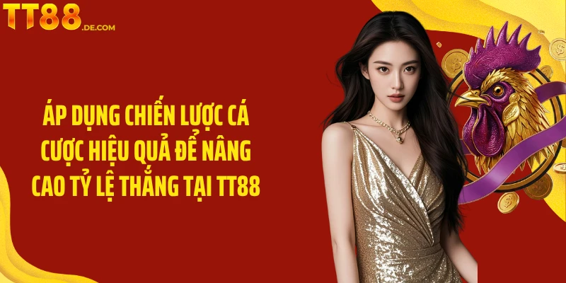 Đá Gà TT88 : Trải Nghiệm Cá Cược Từ Trường Gà Nổi Tiếng - Tixon