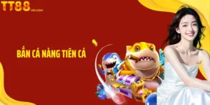 Blog TT88 – Trang Kiến Thức Toàn Diện Cho Người Mới Lẫn Pro - Tixon