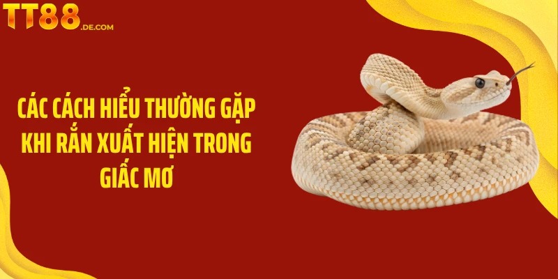 Mơ Thấy Rắn Mang Điềm Lành Hay Dữ Với Chủ Nhân Giấc Mơ - Tixon