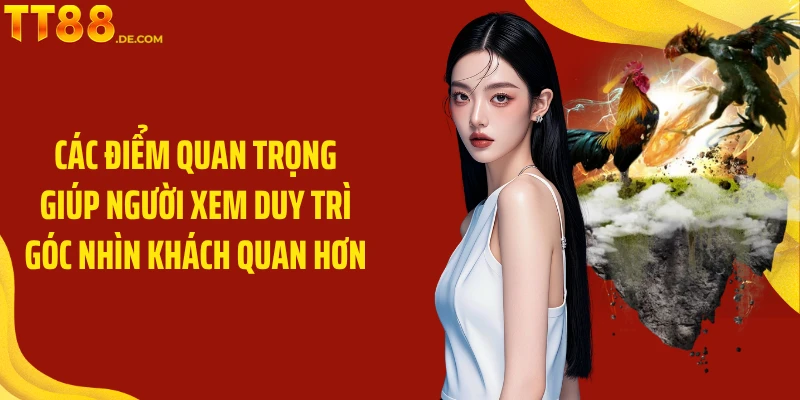 Đá Gà Thomo - Trải Nghiệm Đá Gà Kịch Tính Ngay Tại TT88 - Tixon
