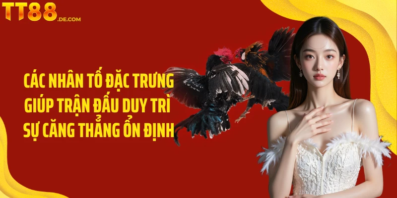 Đá Gà C1 TT88 - Đấu Trí Kịch Tính Và Hấp Dẫn Hàng Đầu - Tixon