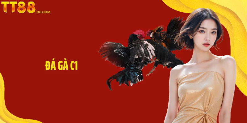 Đá Gà C1 TT88 - Đấu Trí Kịch Tính Và Hấp Dẫn Hàng Đầu - Tixon
