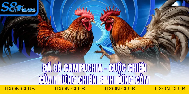 Tin Tức S8 Cập Nhật Thông Tin Cá Cược Chuẩn Xác Cho Bạn - Tixon