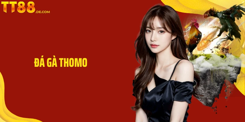 Đá Gà Thomo - Trải Nghiệm Đá Gà Kịch Tính Ngay Tại TT88 - Tixon