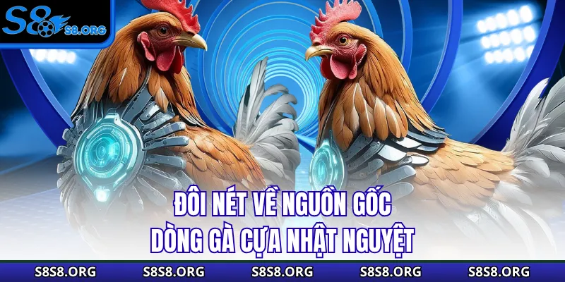 Cựa Nhật Nguyệt - Siêu Phẩm Thần Kê Mọi Nhà Đều Muốn Sở Hữu - Tixon
