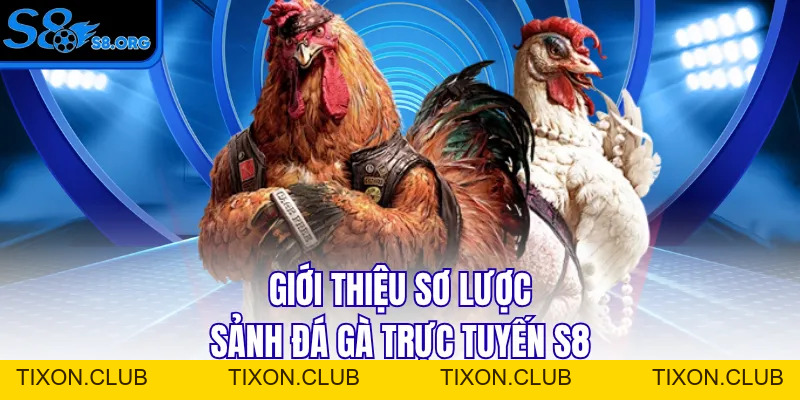 Đá Gà S8 - Sân Chơi Chọi Kê Đẳng Cấp Số 1 Châu Á - Tixon