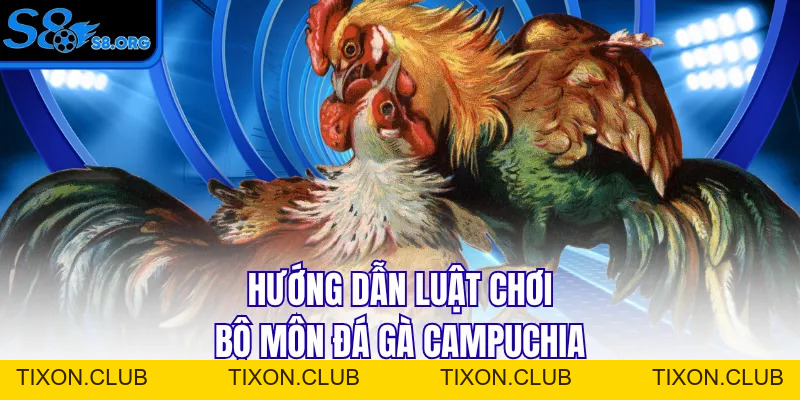 Đá Gà Campuchia - Cuộc Chiến Của Những Chiến Binh Dũng Cảm - Tixon