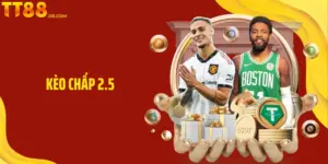Blog TT88 – Trang Kiến Thức Toàn Diện Cho Người Mới Lẫn Pro - Tixon