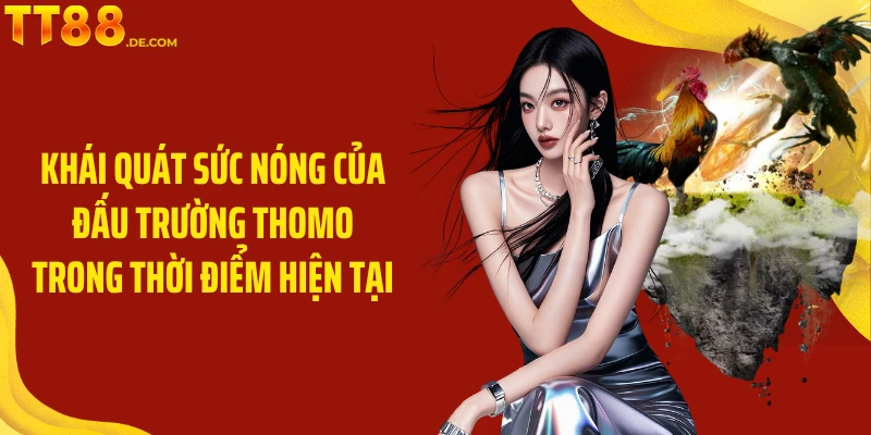 Đá Gà Thomo - Trải Nghiệm Đá Gà Kịch Tính Ngay Tại TT88 - Tixon