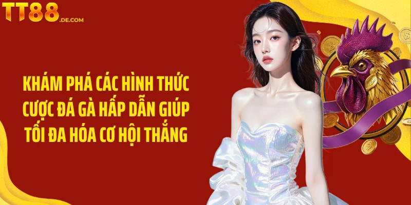 Đá Gà TT88 : Trải Nghiệm Cá Cược Từ Trường Gà Nổi Tiếng - Tixon
