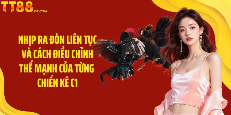 Đá Gà C1 TT88 - Đấu Trí Kịch Tính Và Hấp Dẫn Hàng Đầu - Tixon