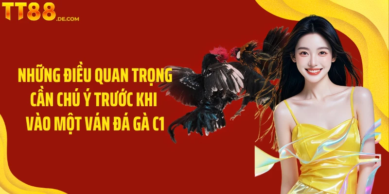 Đá Gà C1 TT88 - Đấu Trí Kịch Tính Và Hấp Dẫn Hàng Đầu - Tixon