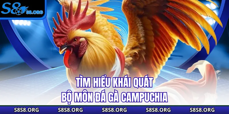 Đá Gà Campuchia - Cuộc Chiến Của Những Chiến Binh Dũng Cảm - Tixon
